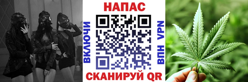 Канабис план  Демидов 
